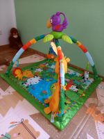 Spielebogen Fisher Price *neuwertig* Sachsen - Krostitz Vorschau