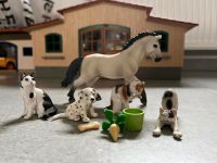 Schleich Pferd Katze Hund Köln - Seeberg Vorschau