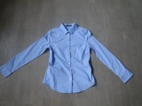 Mango Bluse Business Button down Basics Hemd Gr. XS hellblau Herzogtum Lauenburg - Geesthacht Vorschau