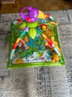 Fisher-Price Rainforest Erlebnisdecke Neupreis 95€ Sachsen-Anhalt - Magdeburg Vorschau