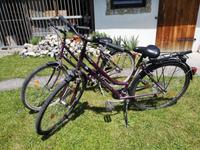 2x PEGASUS Piazza und KC20 Qualitäts Damenrad Baden-Württemberg - Küssaberg Vorschau