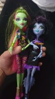 2× Monster High Puppen sehr schön Nordrhein-Westfalen - Ascheberg Vorschau