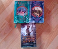 Cassandra Clare 4 Hardcover heavenly fire Sachsen - Ottendorf-Okrilla Vorschau