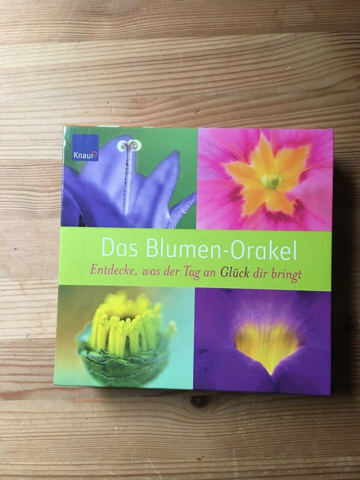 Blumen Orakel in Schüttorf