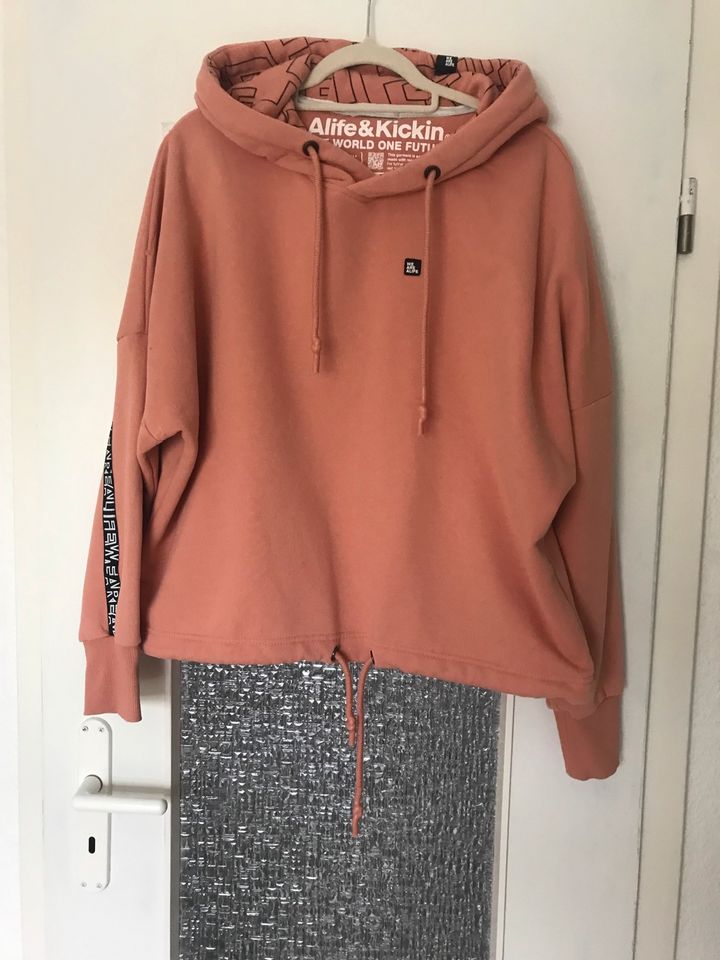 Sweatshirt, Hoodie, für Damen, Größe 40 in Klein Trebbow