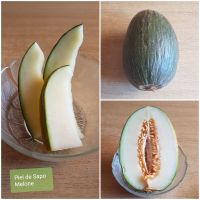 Pie de Sapo Melone grün länglich, Fruchtfleisch hell Samen 7 St Bayern - Woerth an der Donau Vorschau