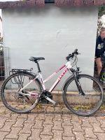 Lakes Preload 420 Fahrrad Trekking City Rheinland-Pfalz - Mainz Vorschau