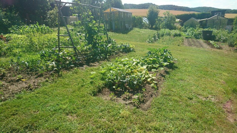 Schönes Gartengrundstück Garten 800 m² zu verpachten zu vermieten in