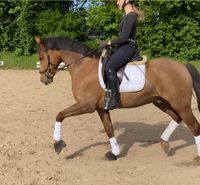 Allrounder: Schicker 8 jährig. Reitpony Wallach Niedersachsen - Bassum Vorschau