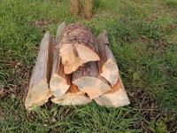 Brennholz für Holzvergaser/Ofen Sachsen-Anhalt - Ziepel Vorschau