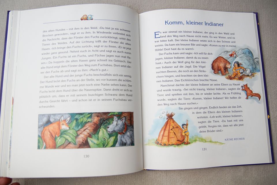 °° Buch °° tolles Kinderbuch °Gute-Nacht-Geschichten° in Dresden