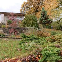 Wochenend Grundstück Garten Laube Sachsen-Anhalt - Sangerhausen Vorschau