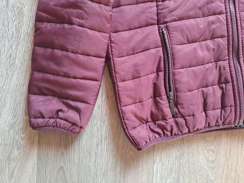 Kaum getragene Damen Steppjacke in Dessau-Roßlau