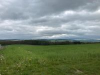 Ackerland Grünland Feld Wiese Sachsen - Hartenstein Vorschau