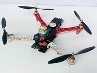 Minion Quadrocopter Drohne DJI Naza light 450er Größe Hessen - Darmstadt Vorschau