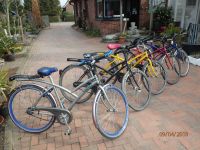 Rabeneick Future Bike Fahrrad, gebraucht,, 7-Gang Nabenschaltung Niedersachsen - Badbergen Vorschau