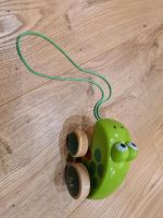 OSTER Geschenk  HAPE Nachziehfrosch Frosch Spielzeug Kinder Sachsen - Leutersdorf Vorschau