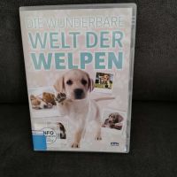 Die wunderbare Welt der Welpen - DVD Nordrhein-Westfalen - Neuenkirchen Vorschau