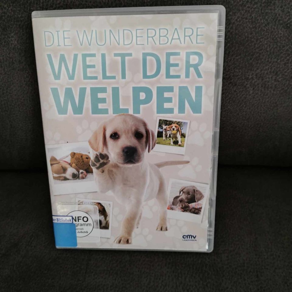 Die wunderbare Welt der Welpen - DVD in Neuenkirchen