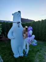 Eisbär Kostüm aufblasbar/Überraschung/Party zu vermieten Baden-Württemberg - Baienfurt Vorschau