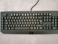 Razer Blackwidow Gamingtastatur Nordrhein-Westfalen - Krefeld Vorschau