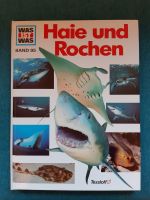 Was ist was - "Haie und Rochen" Band 95 Niedersachsen - Norden Vorschau