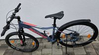 Fahrrad Conway ML5 Damen MTB Baden-Württemberg - Gaildorf Vorschau