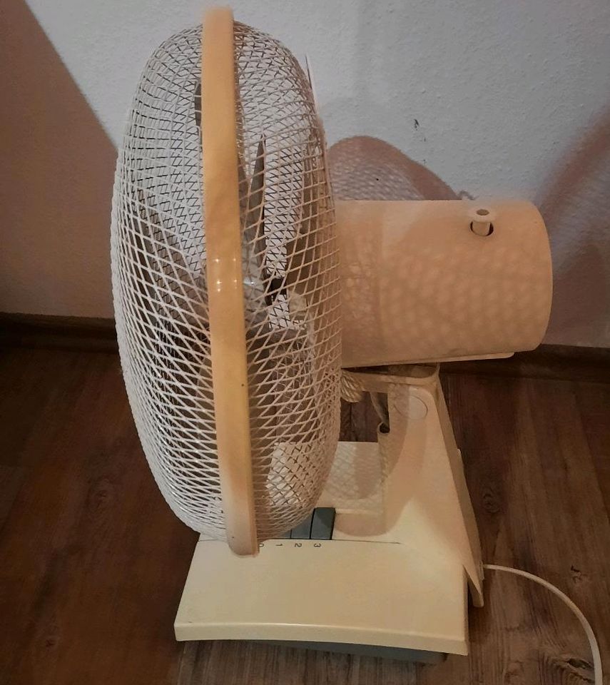 Tisch Ventilator in Köln