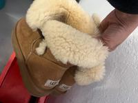 Uggs Schuhe Berlin - Reinickendorf Vorschau