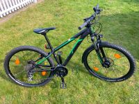 Kinder-Mountainbike „UNIVEGA Vision 3.0 Street“ (MTB) Schleswig-Holstein - Stapelfeld Vorschau