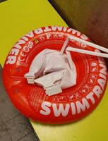 Schwimmtrainer Baby rot Nordrhein-Westfalen - Lippstadt Vorschau