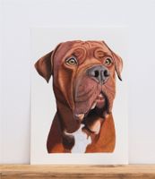 Hundeportrait, Bordeauxdogge, realistisch gemalt Schleswig-Holstein - Oldendorf (Holstein) Vorschau