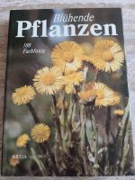 Buch Blühende Pflanzen Artia Verlag Thüringen - Erfurt Vorschau