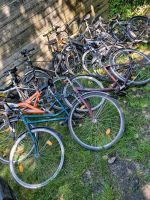 10 Fahrräder Niedersachsen - Cadenberge Vorschau