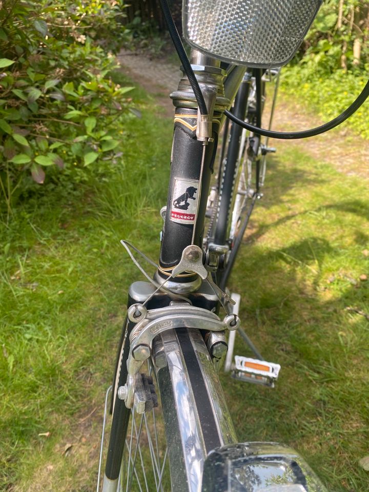 Peugeot Herren Retro Fahrrad in Hamburg