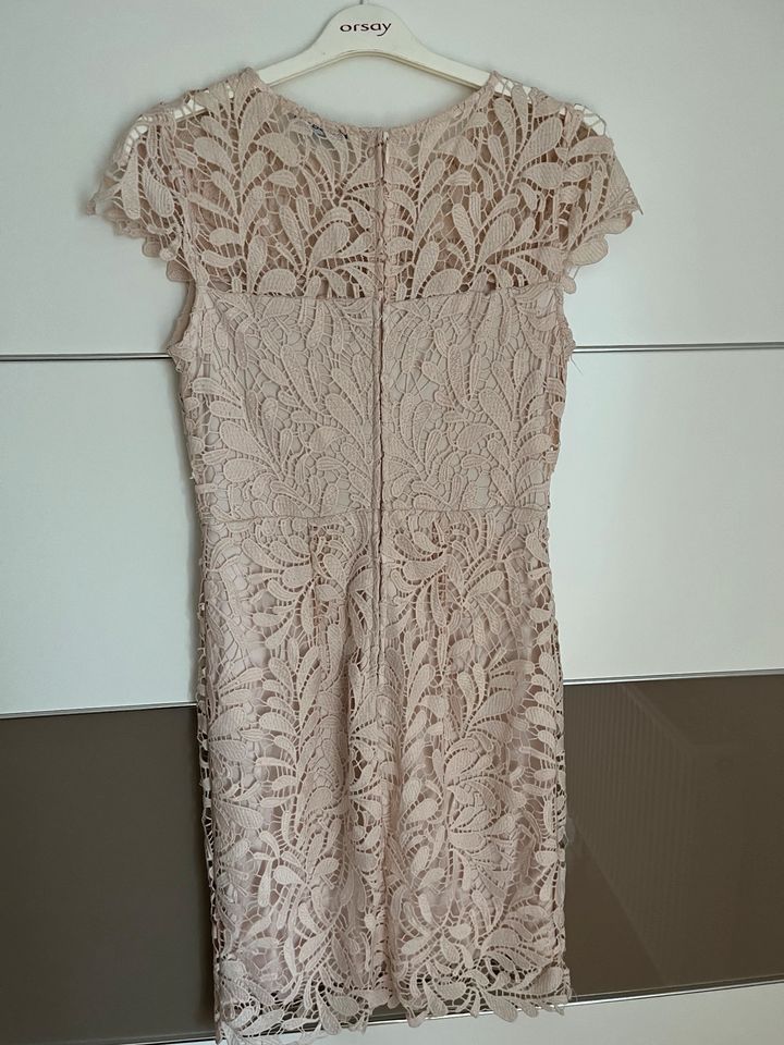 Kleid Größe 38 / M Orsay in Schöneck