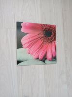 Glas Bild Blume Pink Schwarz 30x30cm Wandbild Nordrhein-Westfalen - Espelkamp Vorschau