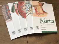 5 Teile Sobotta Atlas der Anatomie Rumpf Hals Bauch Brust Becken Müritz - Landkreis - Penzlin Vorschau