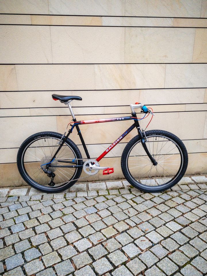 Geile Vintage Bikes: Rennrad Gravel MTB Commuter Reiserad ATB in Bamberg