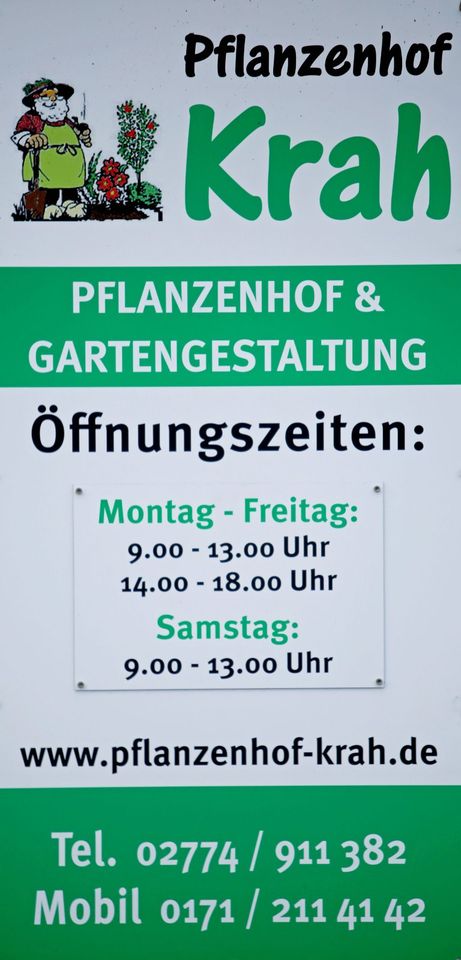 Versch. Hochstämme kleiner Stammdurchmesser Sonderangebot in Dietzhölztal