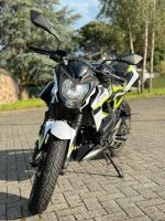 Kawasaki Z125 mit Restgarantie in Top-Zustand - Frischer TÜV Hessen - Solms Vorschau