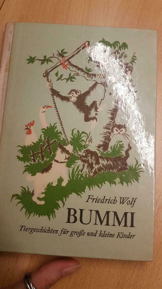 Friedrich Wolf - alte Kinderbücher aus den 60er Jahren in Altenahr