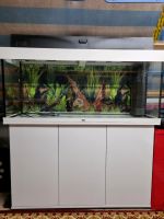 Juwel Rio 240 Aquarium mit viel Zubehör,  Top Zustand! Baden-Württemberg - Dielheim Vorschau