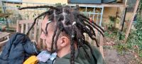 Dreadlocks/rastas extensions/Verlängerungen/Strähnen/Haar wraps Friedrichshain-Kreuzberg - Friedrichshain Vorschau