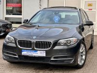 BMW 520d Kombi*Navi*HUD Autom*Eu6*KeyGo*Xen*LED*Pano Rheinland-Pfalz - Worms Vorschau