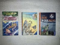 Kinderbücher Das magische Baumhaus Die Zeitdetektive /...3 Bücher Thüringen - Jena Vorschau