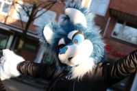 Fursuit Lavafox Bremen - Blumenthal Vorschau