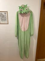 Einteiler Drache Dino Fasnacht Baden-Württemberg - Engen Vorschau