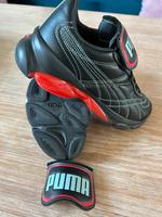 Puma Cell Dome King X Dua Lipa 39 Rheinland-Pfalz - Rodalben Vorschau