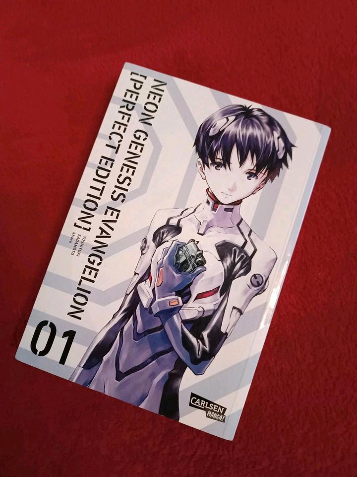 Neon Genesis Evangelion – Perfect Edition 1 (deutsche Ausgabe) in Werder (Havel)